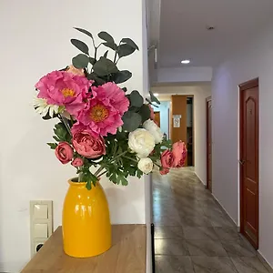 Center Hostel&guest House Auberge de jeunesse
